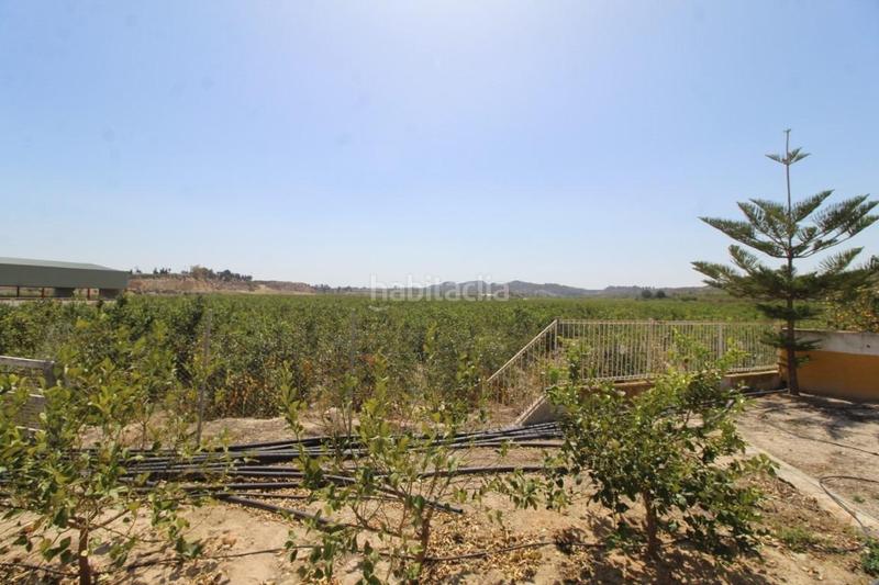 Foto ee0cc957-6526-4fe8-8acc-c76793ddd6eb. Masía finca con explotación agrícola en Desamparados - Hurchillo - Torremendo Orihuela