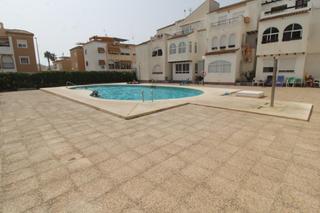 Apartament  Calle de los montesinos. Estupendo apartamento de 1 dormitorio en torrevieja