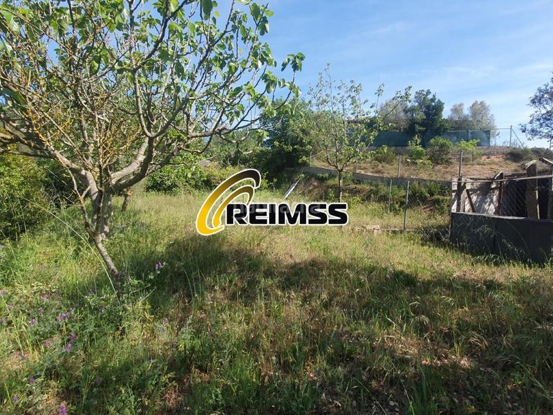 Foto 663a202e-ee8d-4ba0-8c16-d4019e5378e5. Casa amb aparcament a Terrafortuna - Puig Ventós Vidreres