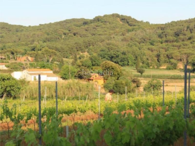 Foto 8914323e-fb41-4e01-91e5-3c615990f63a. Maison dans Mas Mora-Sant Daniel Tordera