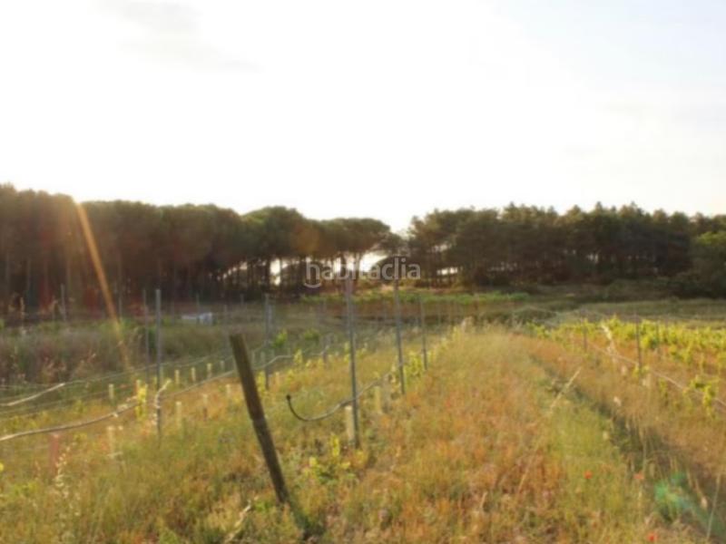 Foto c4e14b89-1ce3-48d1-8b62-45f0f61fd0d8. Maison dans Mas Mora-Sant Daniel Tordera