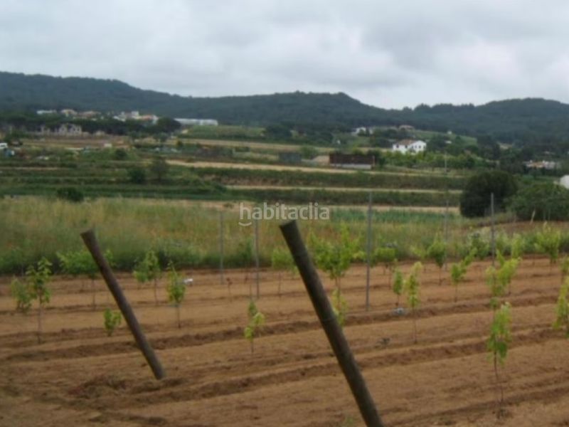 Foto 75a76213-0552-4a3b-9945-21615b395207. Casa a Mas Mora-Sant Daniel Tordera