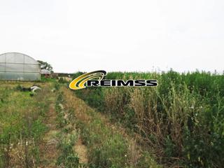 Finca rústica a Malgrat de Mar. Terreno agrícola en venta  malgrat de mar