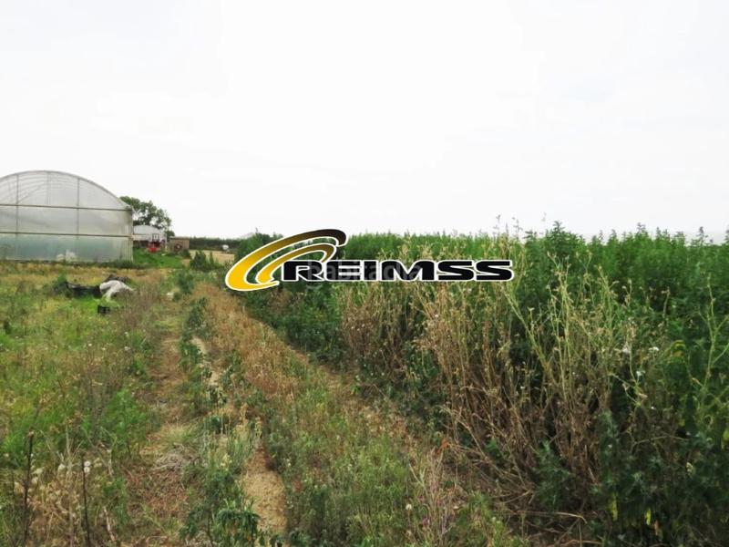 Foto 25c8b400-46fb-4496-a60a-9f5ffcc266a3. Landgut in Malgrat de Mar