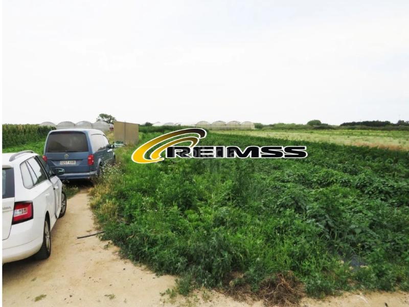 Foto 60b3c217-6e69-4354-b677-2eb872f76036. Landgut in Malgrat de Mar