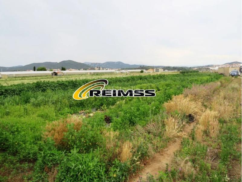 Foto a24f902f-db6a-418c-a611-26f6ace3bbe6. Landgut in Malgrat de Mar