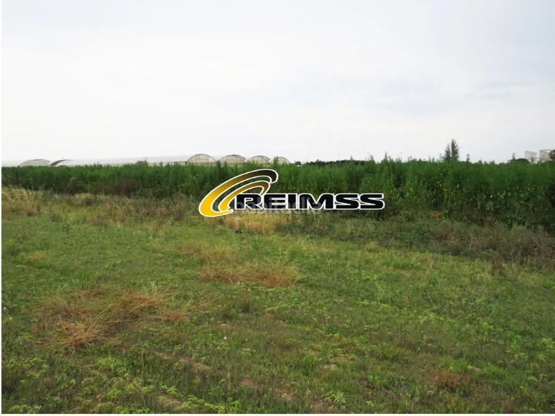 Foto bd2fec80-cbcf-4ee2-99ab-c1856d814af1. Landgut in Malgrat de Mar