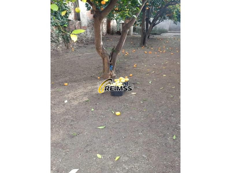 Foto a7b26018-fa72-44cb-9b86-66b4d72f27aa. Terreno residenziale in Centre Pineda de Mar