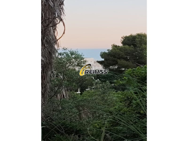 Foto c53d13a3-0c5e-4d84-86d6-d80696b99b95. Pis a Mas Baell-Can Carbó Lloret de Mar