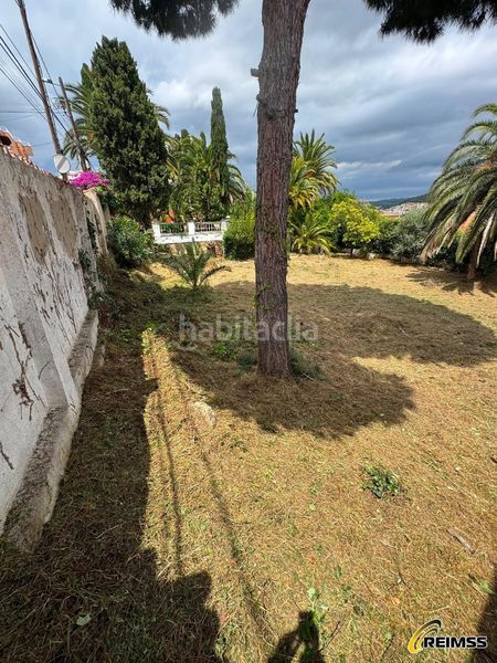 Foto db4cde31-ceb1-49d9-b4c2-49e6362d3b71. Finca rústica a Centre Blanes