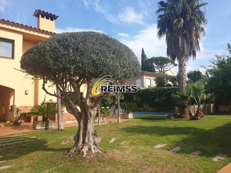 Foto 468ce54c-eb67-4b90-a23d-5eb03b090375. Casa amb piscina a Condado del Jaruco - Puigventós Lloret de Mar