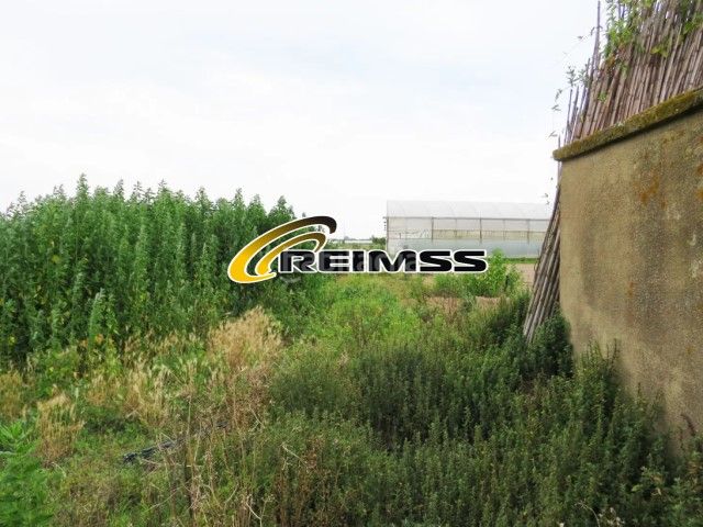 Foto 0ce74897-4edb-4247-99e4-93a85e34049a. Finca rústica a Malgrat de Mar