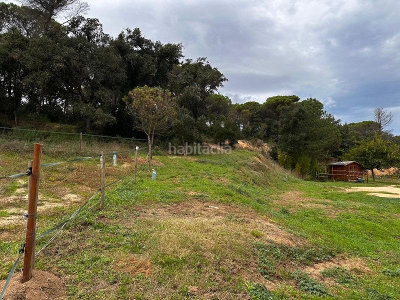 Foto 705863be-74f5-4417-af4c-b3e943f7744e. Casa a Montbarbat Maçanet de la Selva