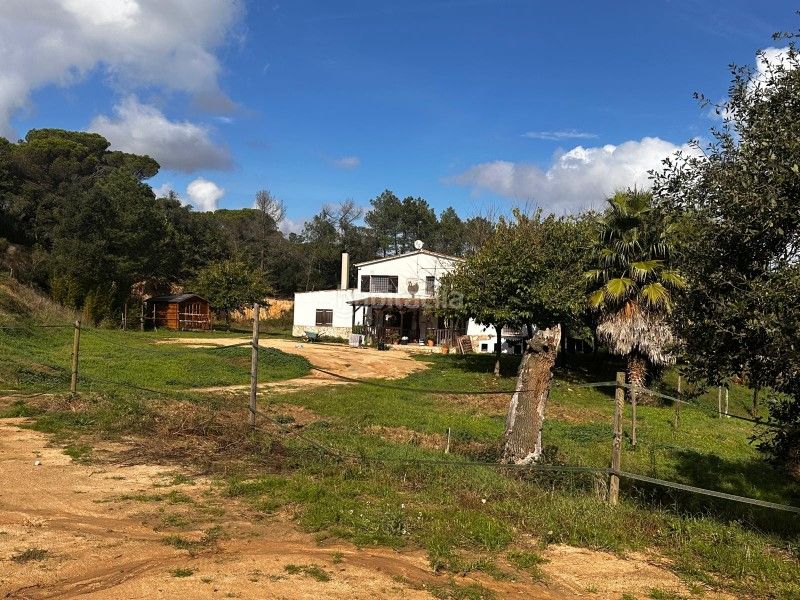 Foto 8dd50df6-7315-48bb-b759-35e560f8b62b. Casa a Montbarbat Maçanet de la Selva