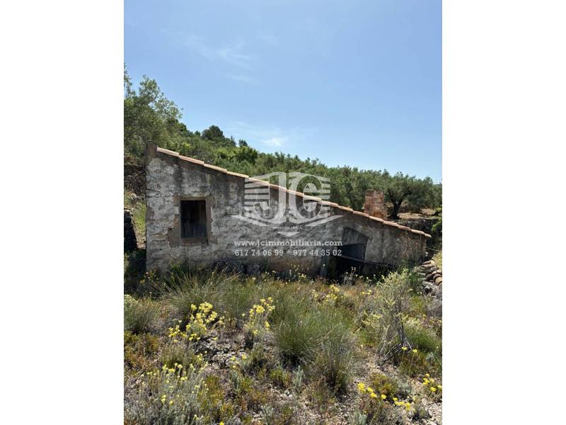 Foto 2e1bbf95-cb05-43cd-90a8-d53cb373d8f5. Landgut in 8 57 in Tivenys