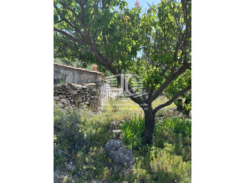 Foto 3d13723d-87e1-4c15-9e89-7d442d2cfda7. Landgut in 8 57 in Tivenys