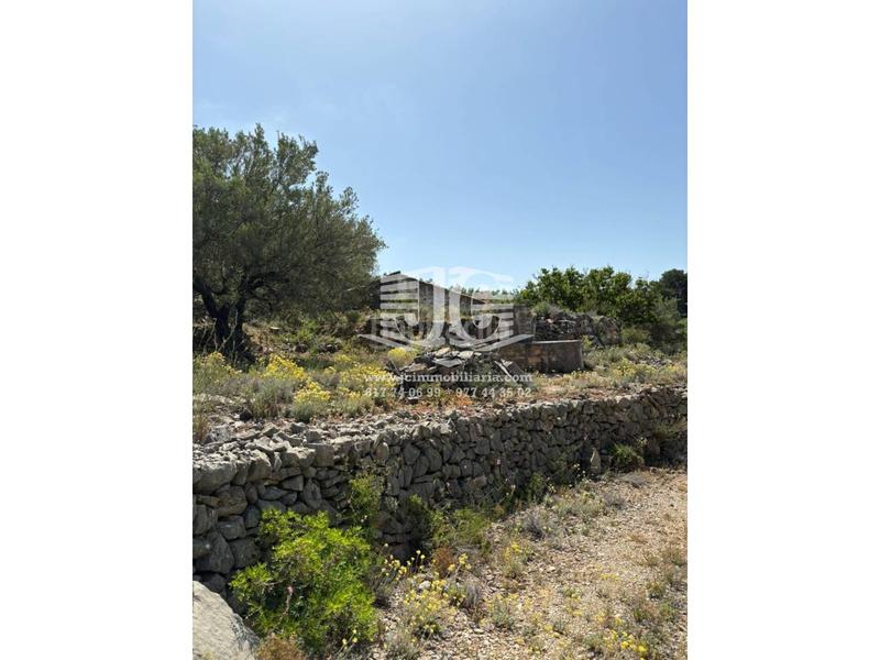 Foto 803b286b-f640-4de8-8ea5-b31212670d60. Landgut in 8 57 in Tivenys