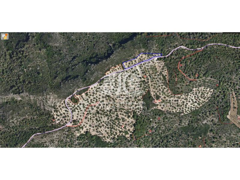 Foto 94111719-d0b9-49f6-8b2b-b93ef19ee913. Landgut in 8 57 in Tivenys