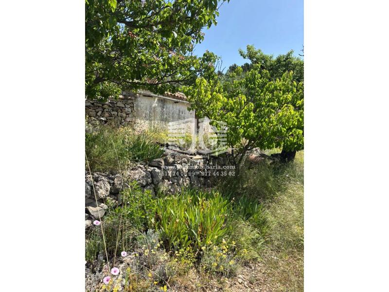 Foto d54d8c35-f086-4592-bbe4-f2b170b66706. Landgut in 8 57 in Tivenys