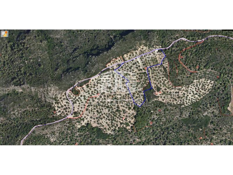 Foto fe5ad77e-0358-462c-a919-306eaa719016. Landgut in 8 57 in Tivenys