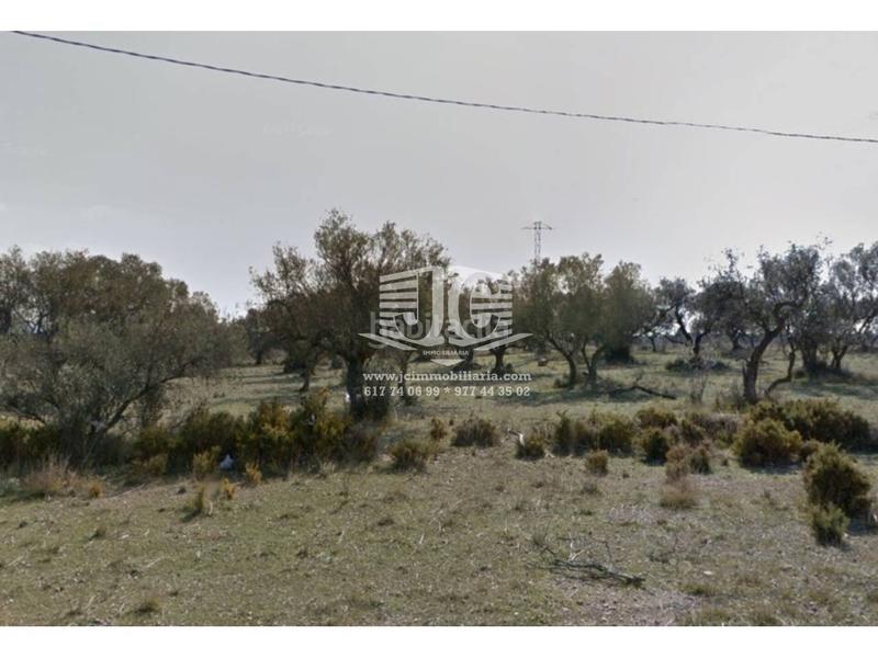 Foto f7e9aa09-7b91-44a7-9eed-d0d858ca047e. Propriété dans Sénia (La)