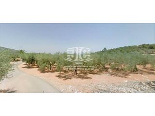 Landgut  Povets. Finca rustica en venta en freginals