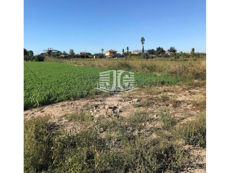 Foto 0469f115-c42e-4c66-b665-b6a02c255553. Wohngrundstück in Deltebre