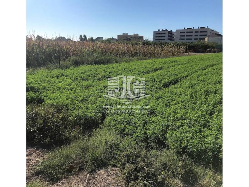 Foto a35cb204-6aa5-4dc5-a440-a50df59100e0. Wohngrundstück in Deltebre