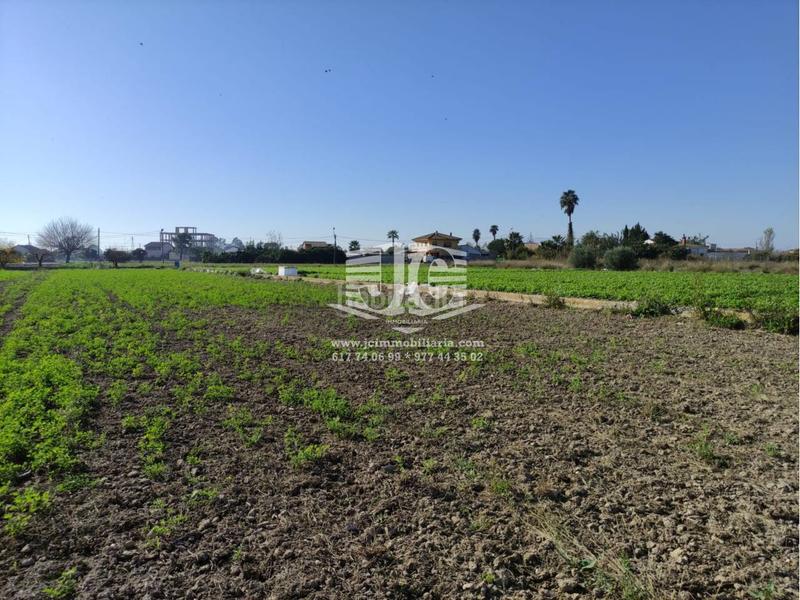 Foto a99382d3-7bf3-4e11-b9df-37dce4cd9f8a. Wohngrundstück in Deltebre