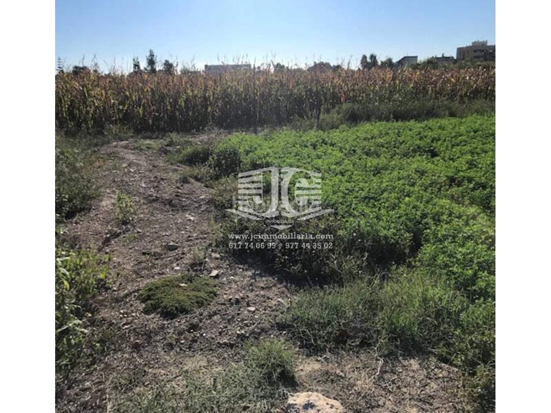 Foto ae5a6119-046f-4cdd-a99e-c18ec722191f. Wohngrundstück in Deltebre