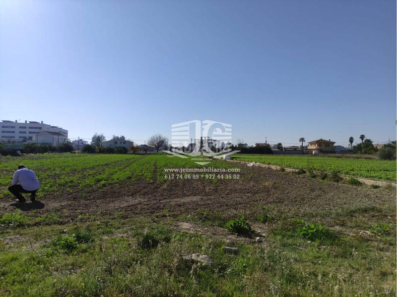 Foto ca32feed-20f7-4b06-b9fe-a9db3a79bd34. Wohngrundstück in Deltebre