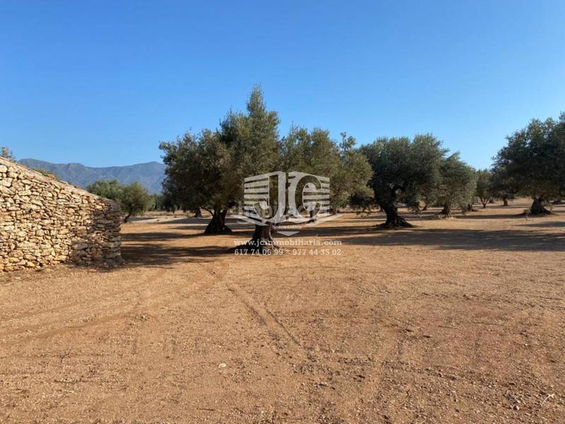 Foto 0c8b3355-8443-477b-a9d8-d074e8d44da1. Finca rústica finca rustica en venta en Tivenys