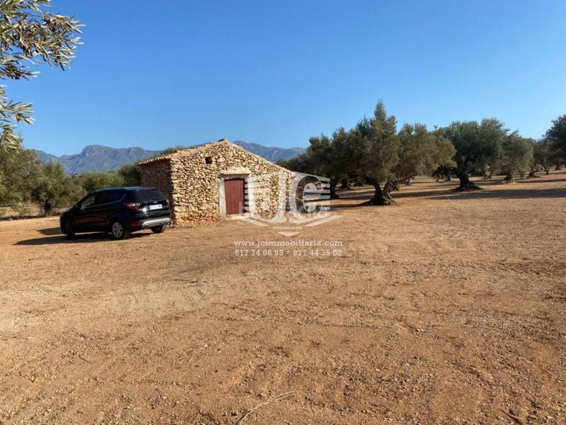 Foto a342e8e9-9b07-4867-8f35-c3ad707ff18f. Finca rústica finca rustica en venta en Tivenys