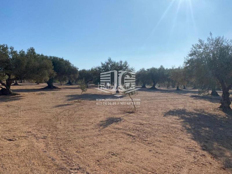 Foto a9249db6-ff9c-4ca5-9edc-bdc30bd18b49. Finca rústica finca rustica en venta en Tivenys