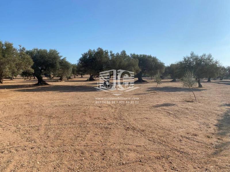 Foto af1b710c-d89c-4471-ba72-5e3f09d824bd. Finca rústica finca rustica en venta en Tivenys