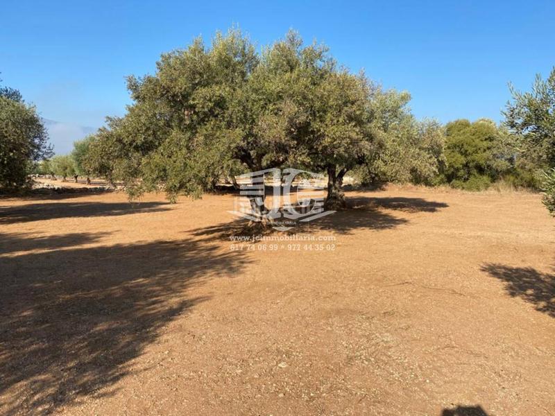 Foto cf13ca6e-344f-47f4-ac33-b702a04b6bcf. Finca rústica finca rustica en venta en Tivenys