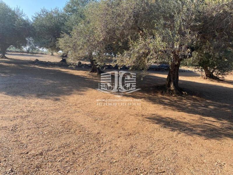 Foto fa3a1899-5797-4788-9d5c-578f3253975b. Finca rústica finca rustica en venta en Tivenys
