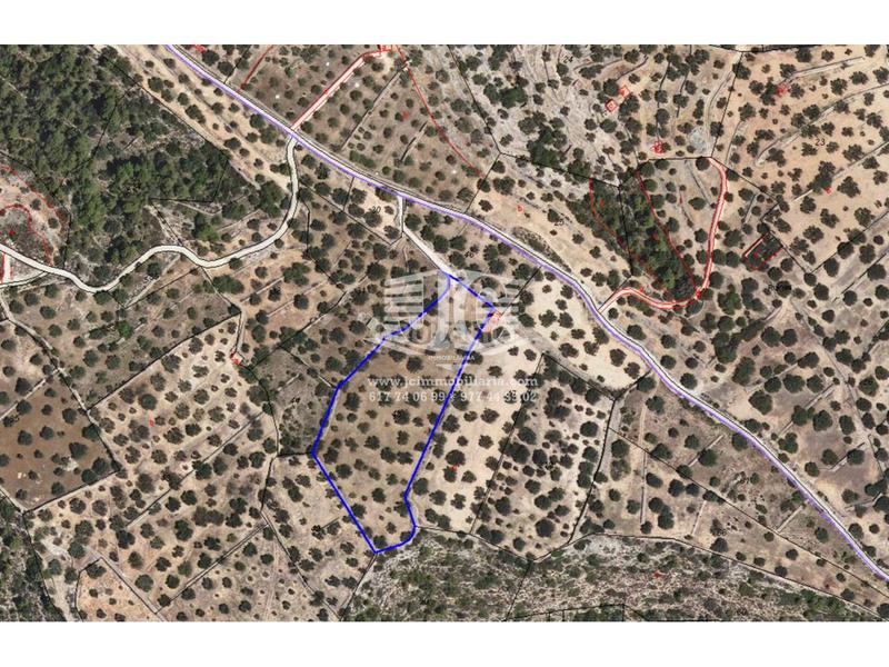 Foto 20b9b1dd-d3c4-4346-96b4-9c6b994d6600. Wohngrundstück in Tivenys