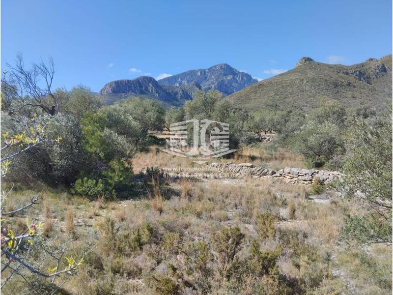 Foto 5eb4a01b-7dcb-413f-abe6-af266ab02d18. Finca rústica  en venta, en Roquetes