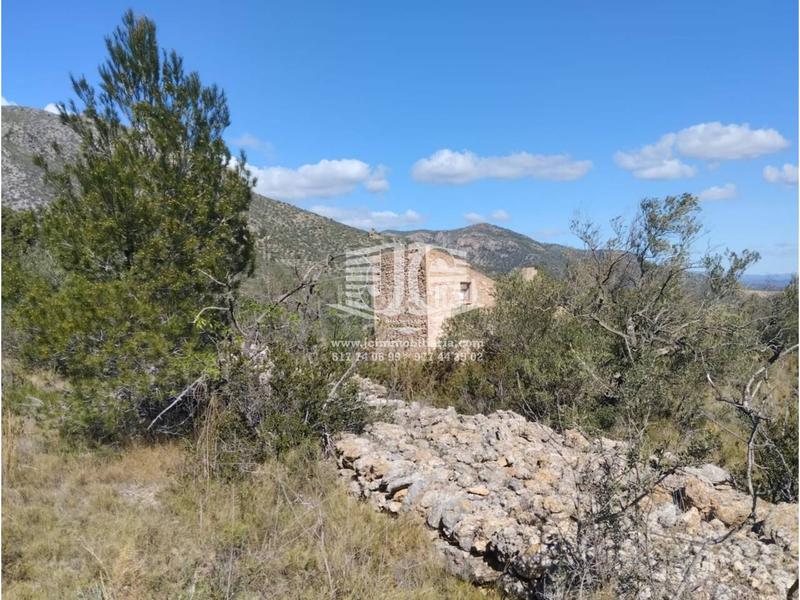 Foto 855b52c0-e42c-445d-a0b6-feab903cc38b. Finca rústica  en venta, en Roquetes