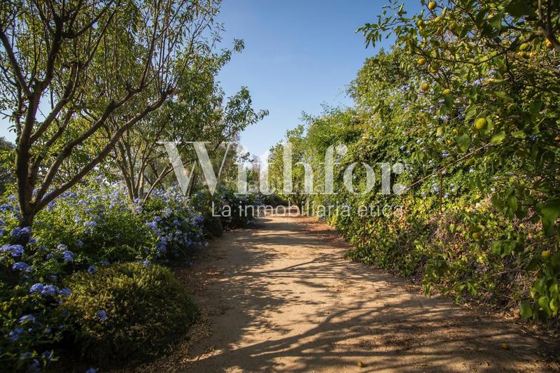 Foto ca5d5b2c-4f24-447b-a8ce-32ae6ba18011. Chalet avec chauffage parking dans Pedralbes Barcelona