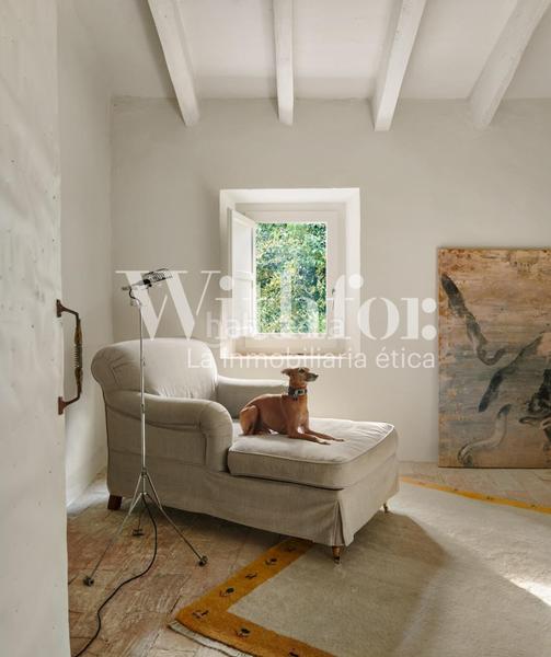 Foto 35b583a8-7491-4ab2-9b9e-bded5fcb4d14. Casa can masó en Pera (La)