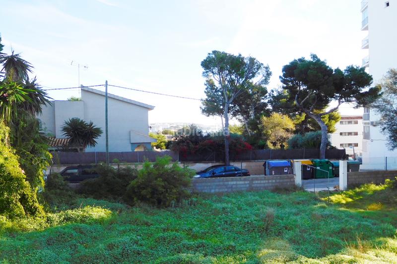 Foto 16bc9947-4bae-4fe4-a275-c8504dd463be. Terreny residencial a Palmanova Calvià