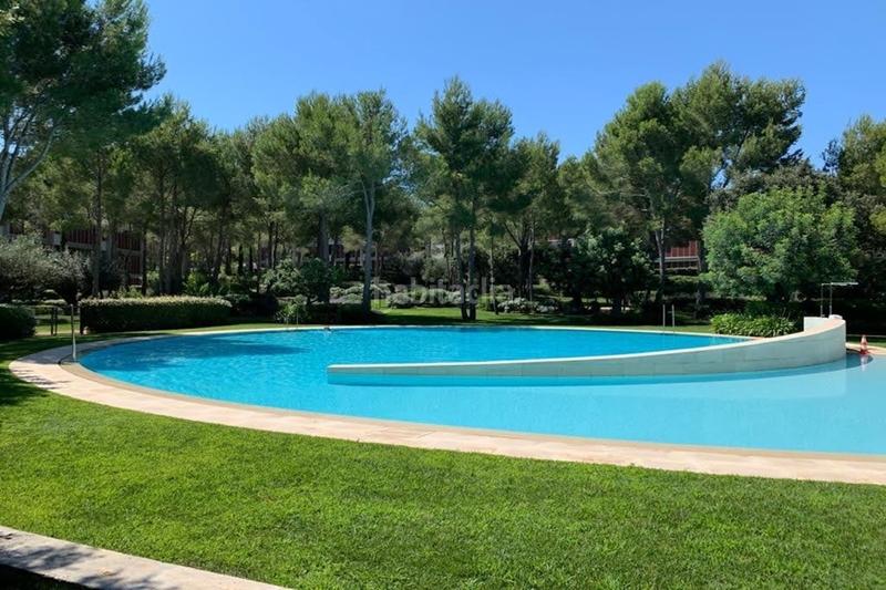 Foto 5c8b34dc-6921-4948-a15e-0c007d1958de. Location attique dans avda bendinat 5 dans Portals Nous Calvià