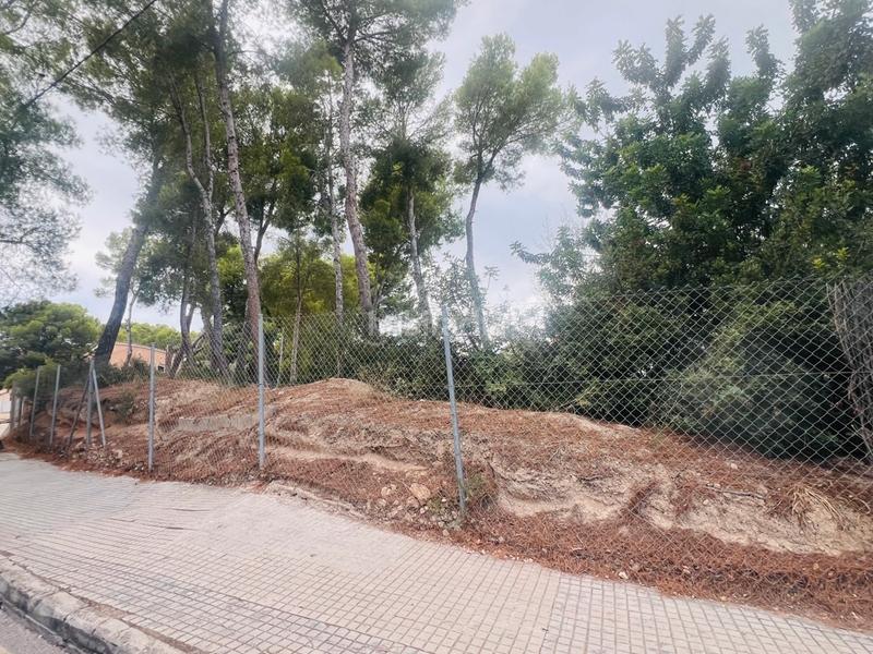 Foto c6eb58b1-1822-40f4-b1f6-a5e9c0670216. Terrain résidentiel dans Santa Ponça Calvià