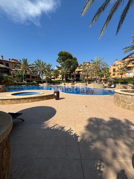 Foto 8af426be-9b84-4604-81df-b1e9c3cd731b. Lloguer apartament a Maioris-Puig de Ros Llucmajor