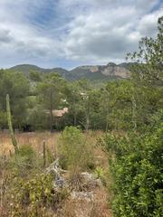 Residential Plot in Puigpunyent. Parcela con encanto en son serralta puigpunyent