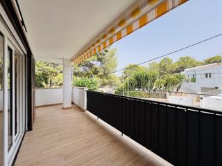 Affitto Piccolo appartamento in Santa Ponça. Apartamento completamente renovado a unos pasos de la playa en s