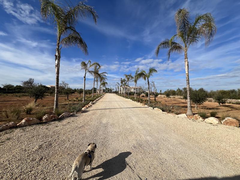 Foto b56a124e-edc9-4342-b718-299c3e5ed7be. Alquiler masía espectacular finca rústica con interior moderno en Santanyí