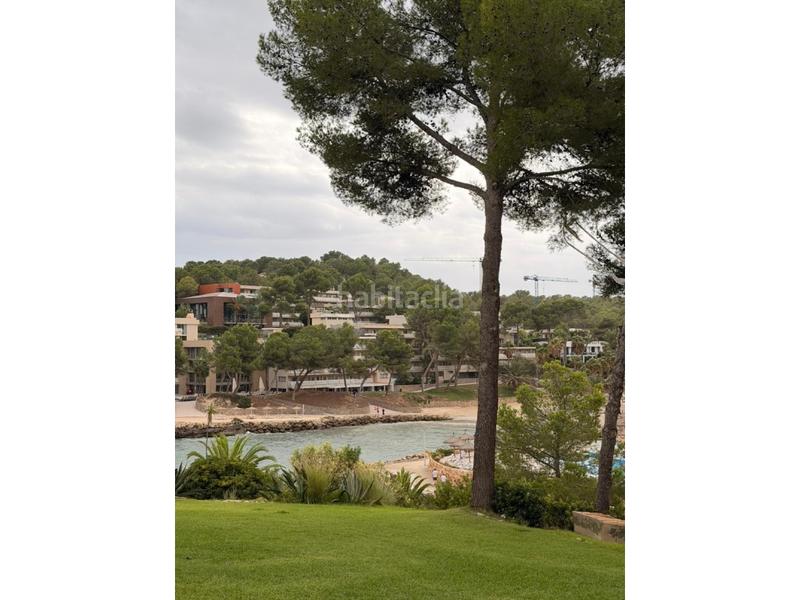 Foto 5e68f308-f90c-4a17-bc1b-6e5c7efe8f05. Rent apartment with pool in Calvià poble Calvià